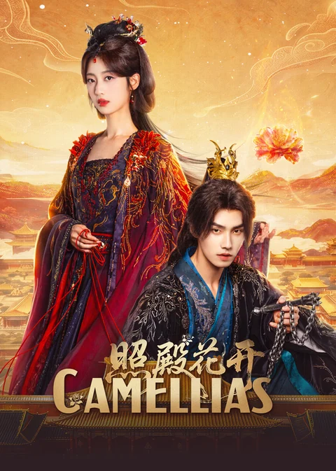 《照殿花开》海报